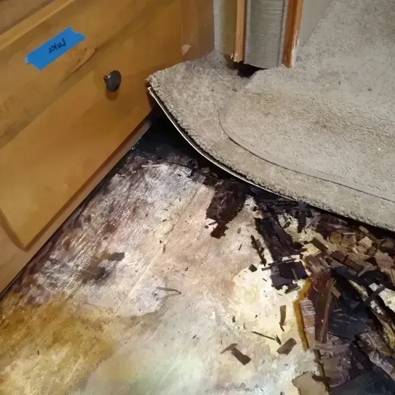 Wood Floor Water Damage in Winters, CA